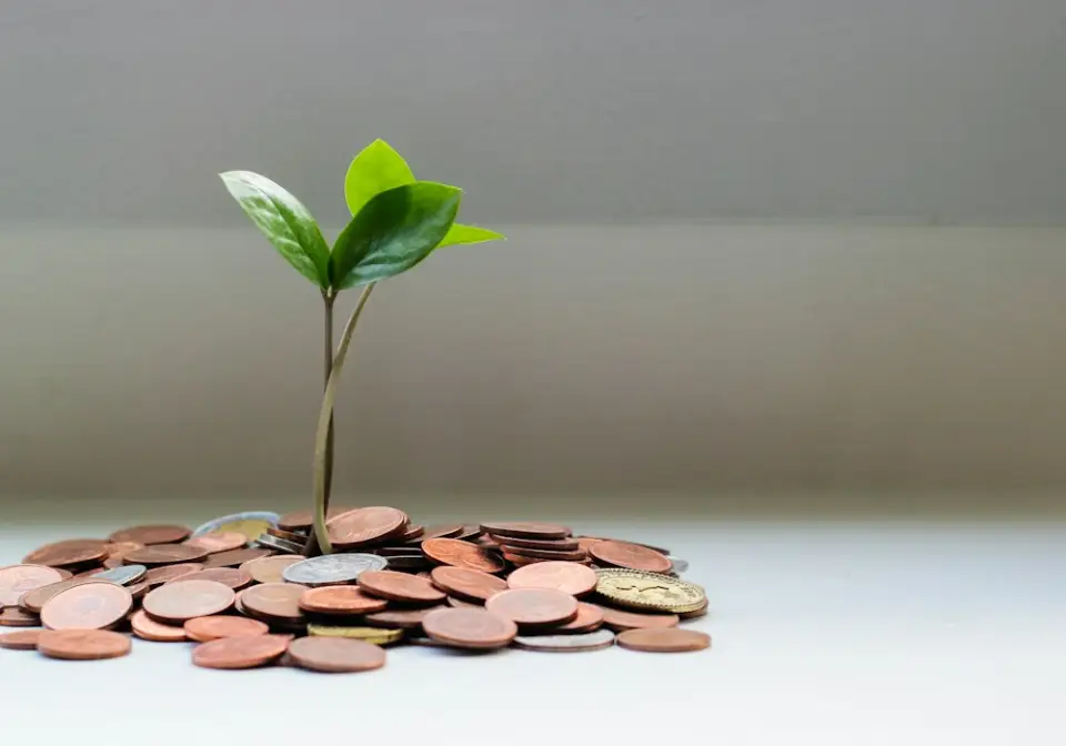 A small plant growing from a pile of coins